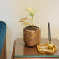 Blooming Planter