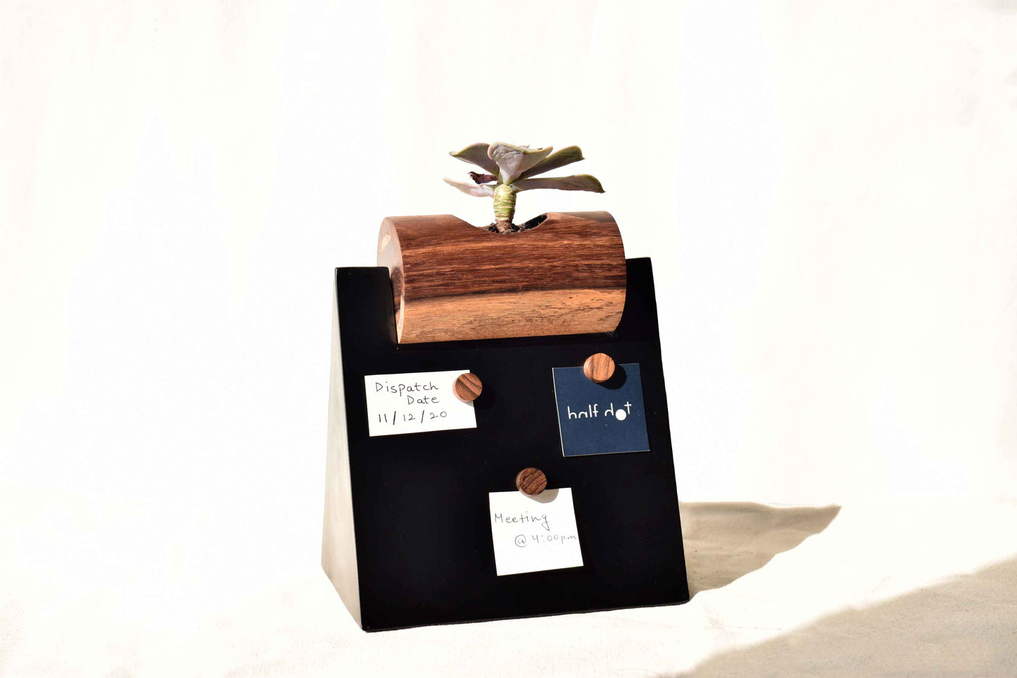 planter for office desk 