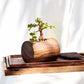 table planters for home 
